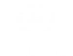 vironex logo2